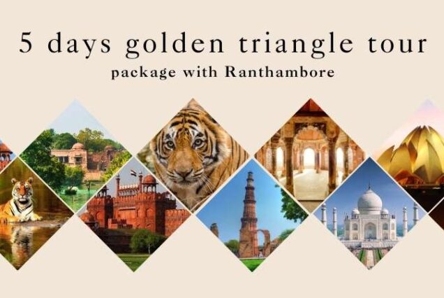 5 days golden triangle tour package with Ranthambore