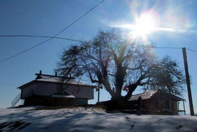 Manali