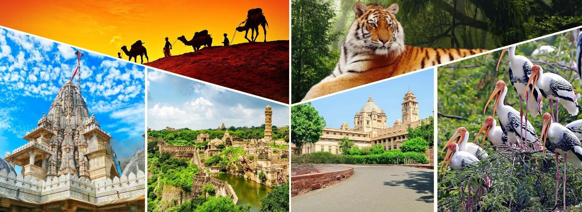 Rajasthan Tour Packages