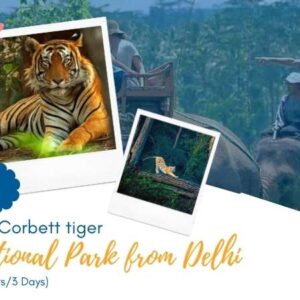 3 Days Jim Corbett Tiger National Park